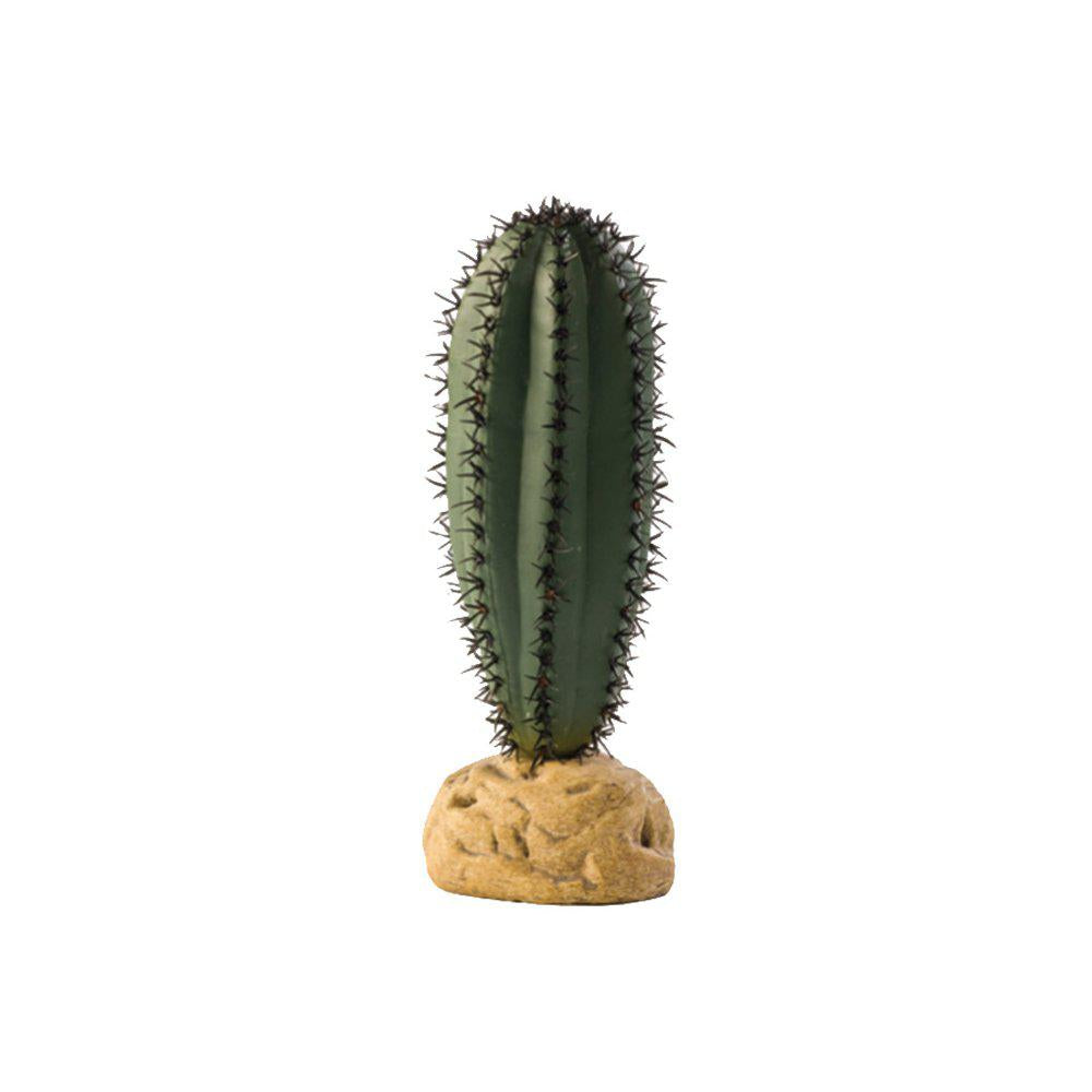 wüstenpflanze kaktus Exo Terra - Stav Cactus - Wüstenpflanze
