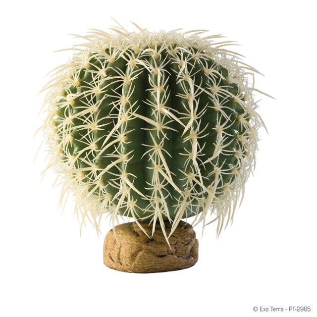 Exo Terra - Ball Cactus Large - Wüstenpflanze