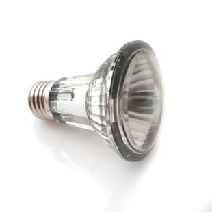 Arcadia Halogen Heat Lamp - E27 - 35 W