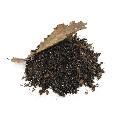Zqare Premium Isopod Soil - 4 liter