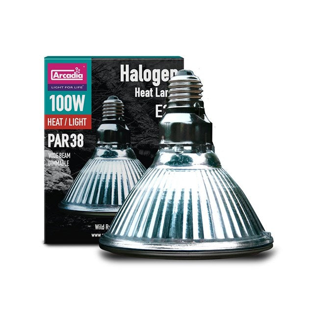 Arcadia Halogen Heat Lamp - 100 W