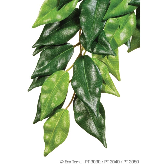 Exo Terra Plastväxt - Ficus - Medium