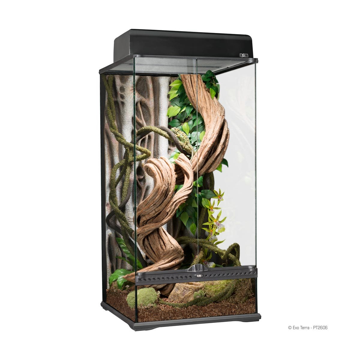 Exo Terra Small X-tall - Terrarium - 45x45x90 cm