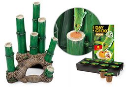 Exo Terra - Terrariumpaket - Bambuskog