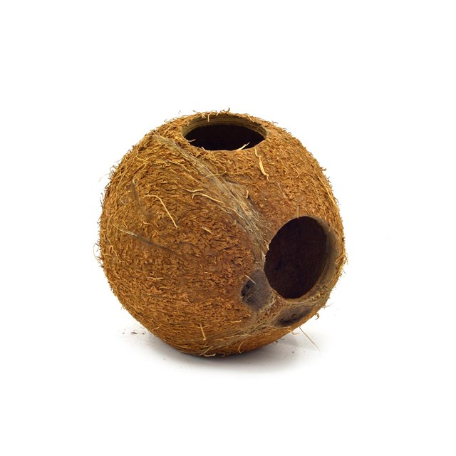 JBL Cocos Cava 1/1 - M - Kokosnöt