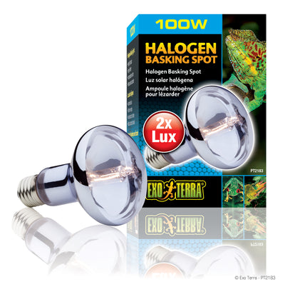 Exo Terra Halogen Basking Spot - 75w