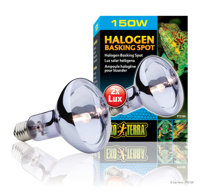 Exo Terra Halogen Basking Spot - 75w